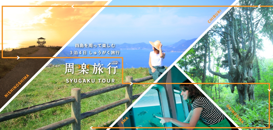 レンタカー&ツアー 隠岐四島 周楽旅行3泊4日