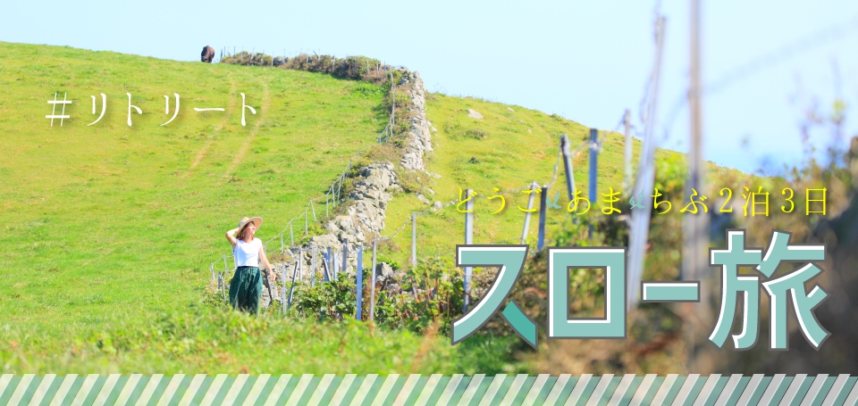 島で感じる癒やしの時間 三島めぐり2泊3日〔スロー旅〕