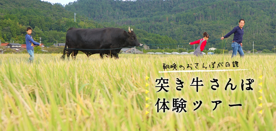 突き牛さんぽ体験ツアー 【宿泊なし】