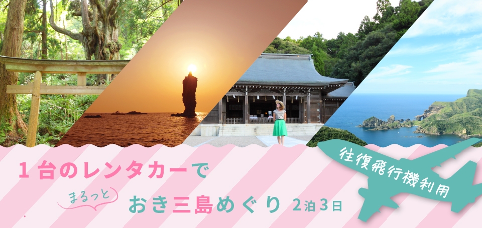 1月~2月\飛行機利用/ 1台のレンタカーで楽ちん三島周遊