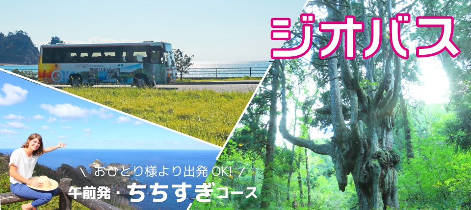 ジオバス ちちすぎコース【観光バス・宿泊なし】