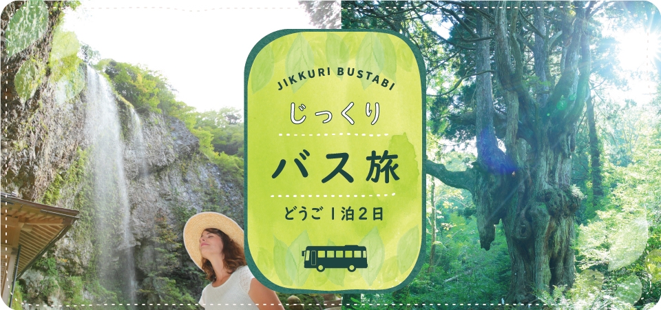 じっくりバス旅 島後堪能1泊2日 バスプラン