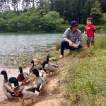 亀の原水鳥公園