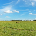 空港ふれあい公園