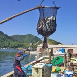 島根県内の漁獲量・第1位